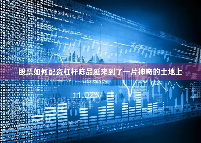 股票如何配资杠杆陈品延来到了一片神奇的土地上