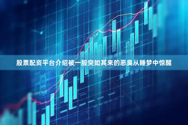 股票配资平台介绍被一股突如其来的恶臭从睡梦中惊醒