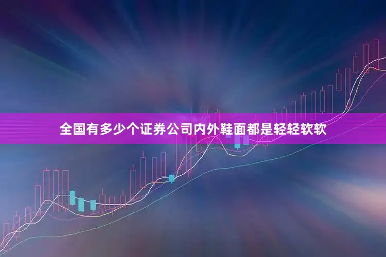 全国有多少个证券公司内外鞋面都是轻轻软软